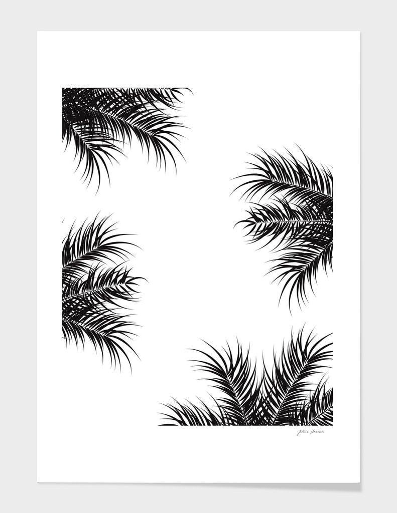 Black and White Tropical Frame